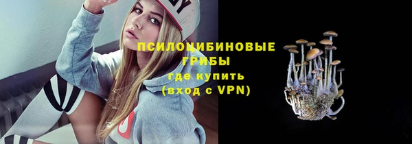 прущий лед Липки
