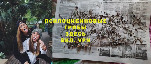прущий лед Липки